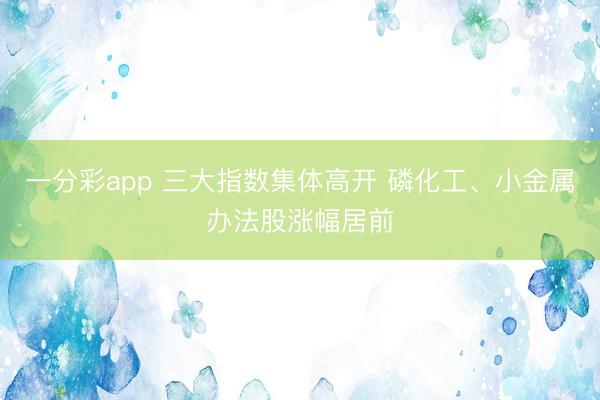 一分彩app 三大指数集体高开 磷化工、小金属办法股涨幅居前