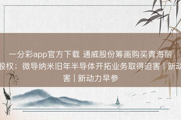 一分彩app官方下载 通威股份筹画购买青海丽豪扫数股权;微导纳米旧年半导体开拓业务取得迫害 | 新动力早参